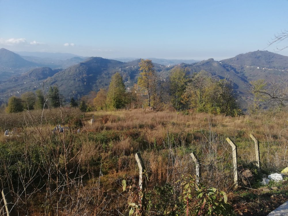 TRABZONLU MUHACIRLAR 1916-1918